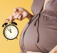 Как рассчитать срок родов?