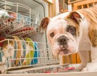 Посудомоечная машина: так ли убедительны причины ее приобретения?