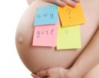 Когда появляется живот при беременности?